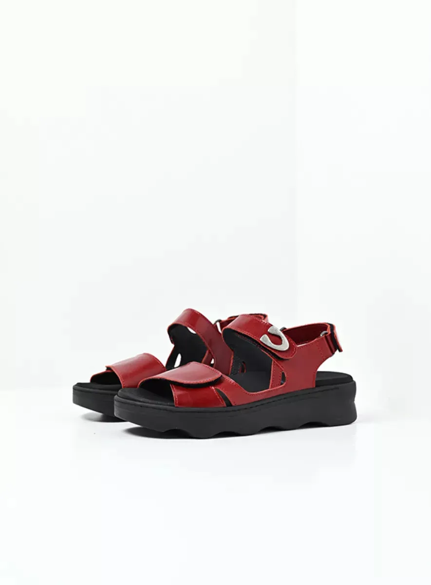 WOLKY MEDUSA OXBLOOD
