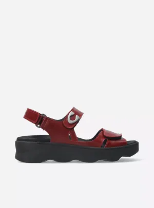 WOLKY MEDUSA OXBLOOD