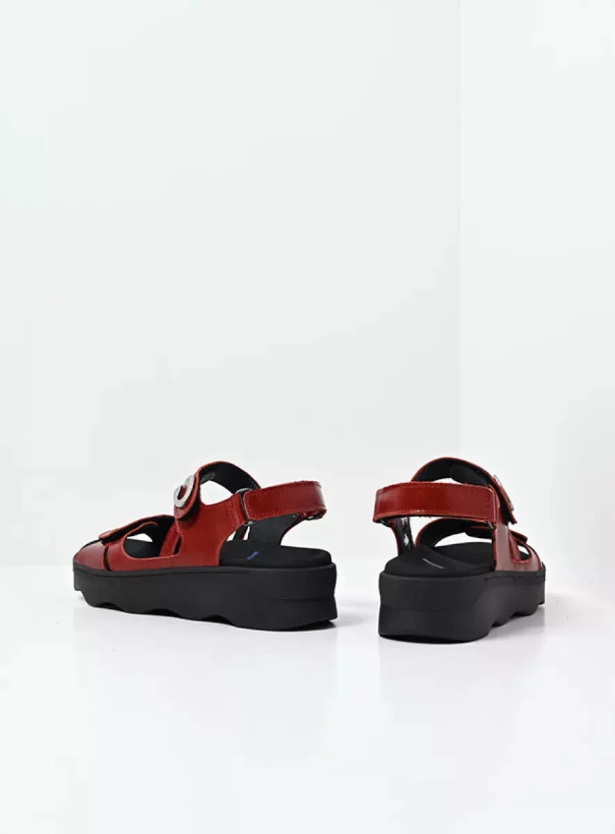WOLKY MEDUSA OXBLOOD